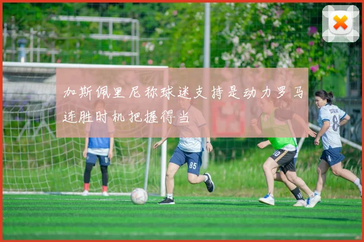 加斯佩里尼称球迷支持是动力罗马连胜时机把握得当