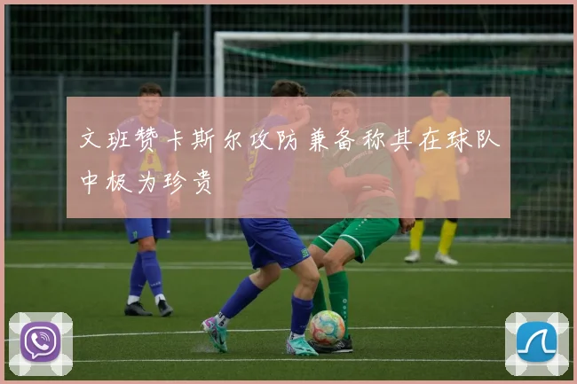 文班赞卡斯尔攻防兼备称其在球队中极为珍贵