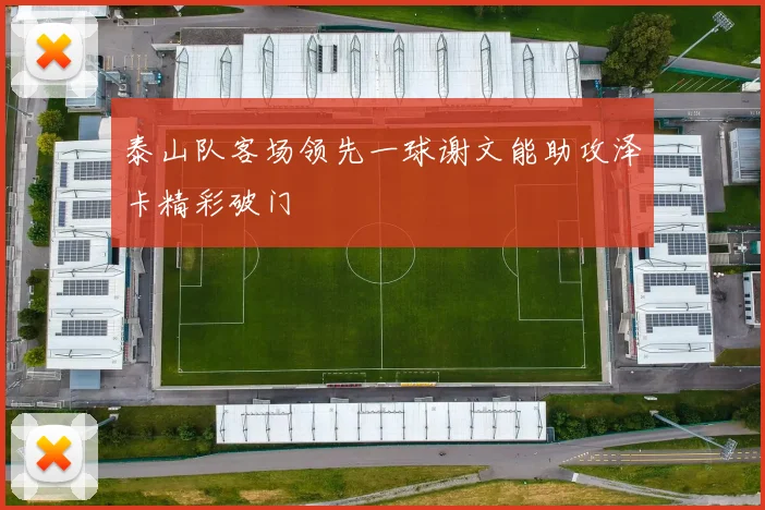 泰山队客场领先一球谢文能助攻泽卡精彩破门