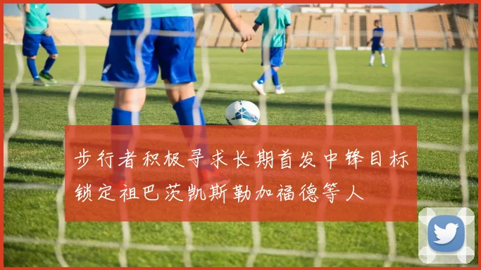 步行者积极寻求长期首发中锋目标锁定祖巴茨凯斯勒加福德等人