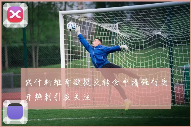 武什科维奇欲提交转会申请强行离开热刺引发关注